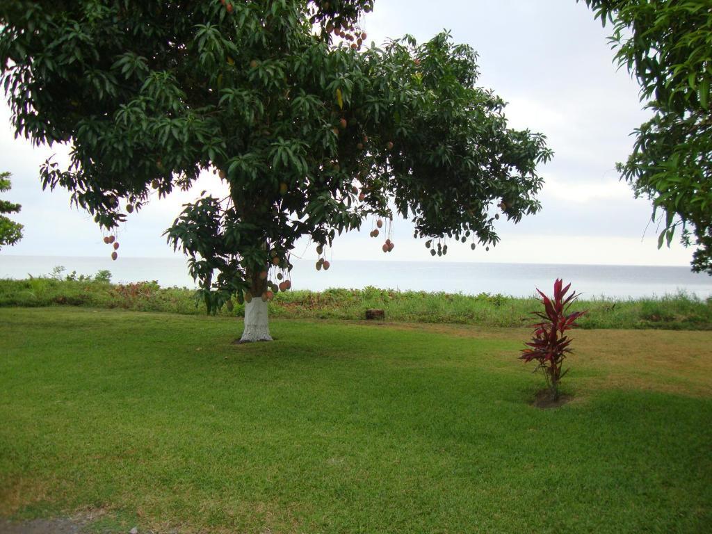 By The Sea Vacation Home And Villa Port Antonio Pokoj fotografie
